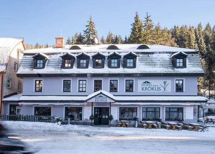 Hotel Krokus
