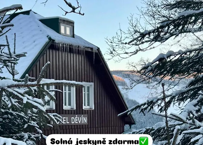 Hotel Devin